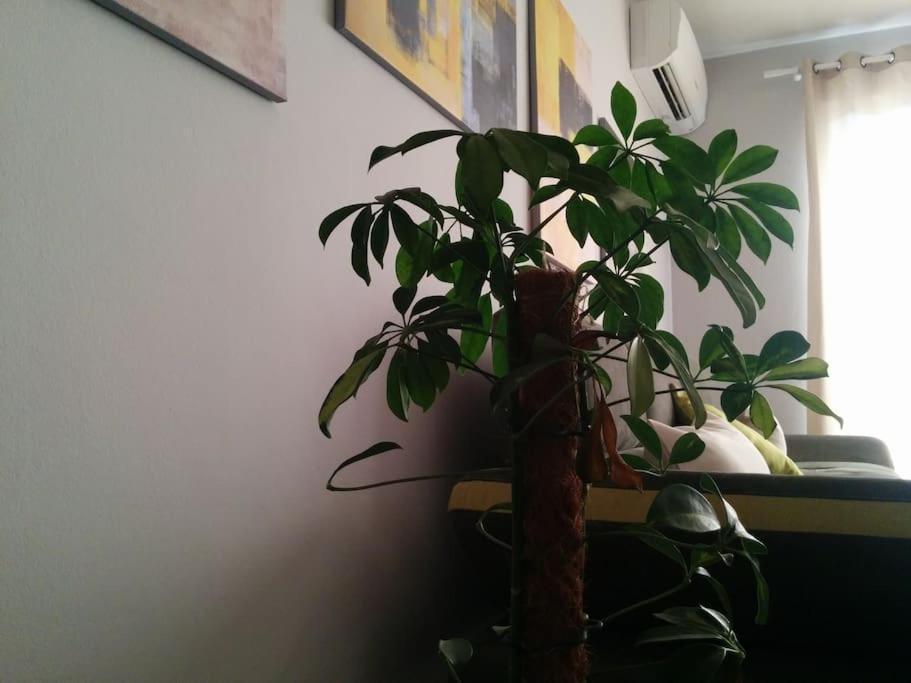Exclusive Apartment Tirana Zewnętrze zdjęcie
