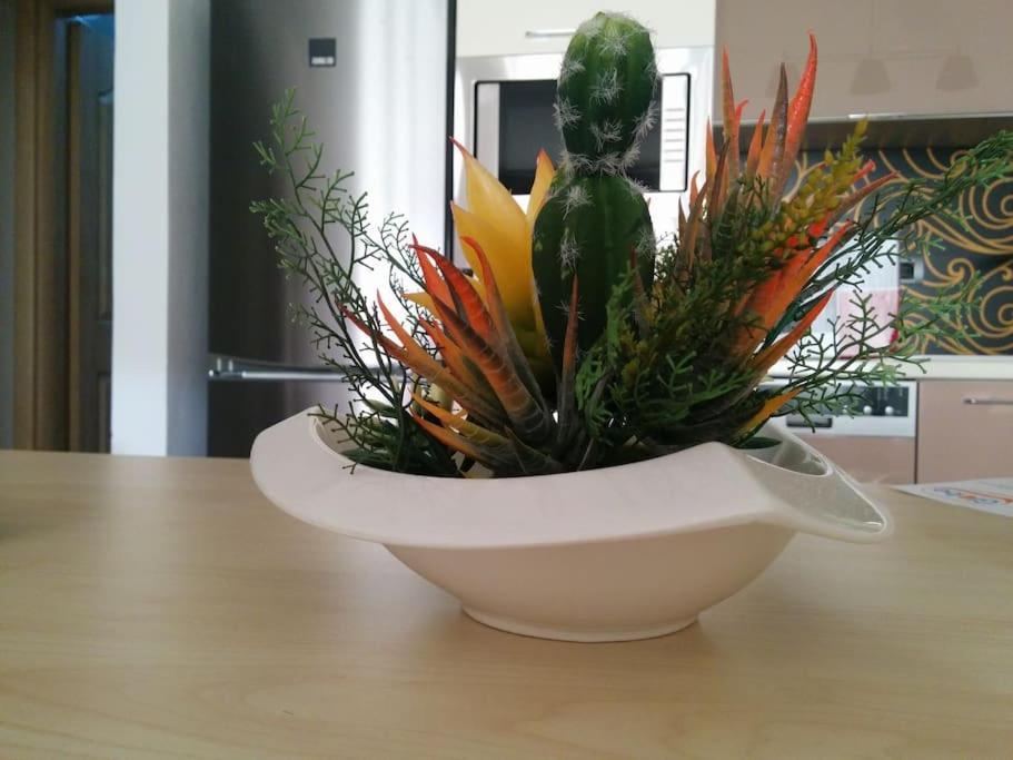 Exclusive Apartment Tirana Zewnętrze zdjęcie