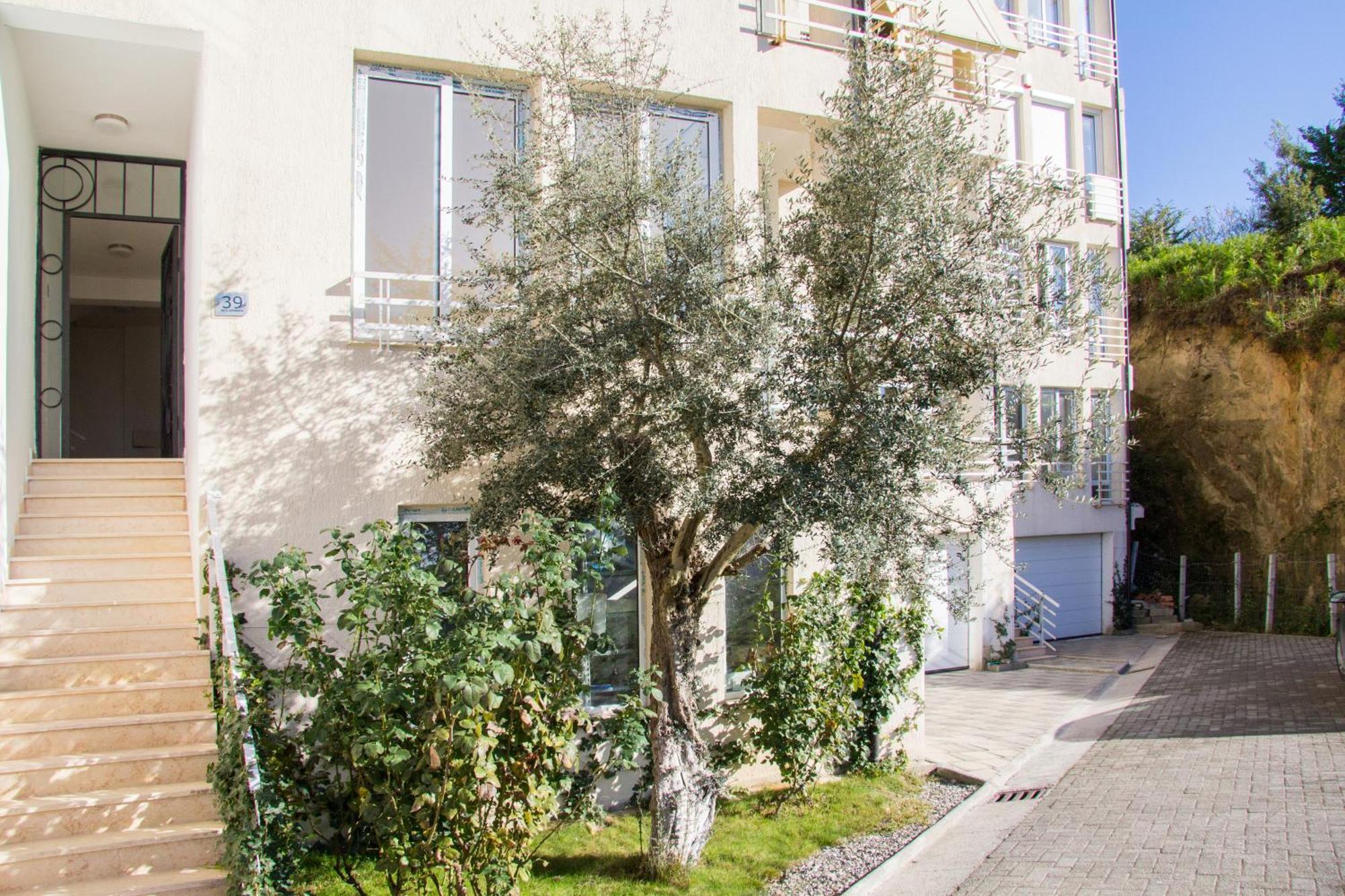 Exclusive Apartment Tirana Zewnętrze zdjęcie